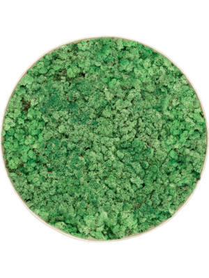 Nova Frame Antique White-concrete 100% Reindeer (Grass Green)