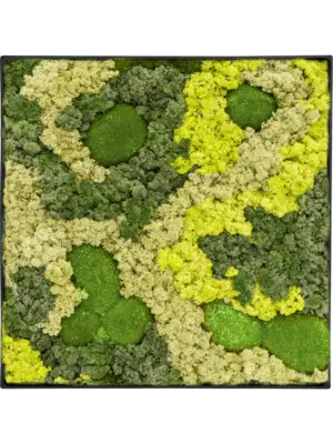 Nova Frame Anthracite-concrete 30% Ball moss 70% Reindeer moss (Mix)