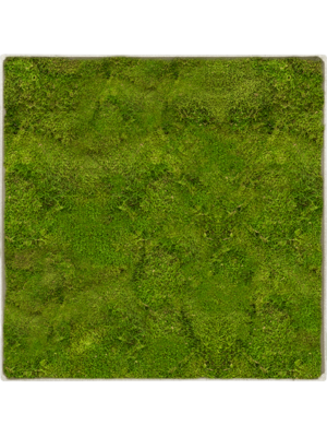 Nova Frame Antique White-concrete 100% Flat moss
