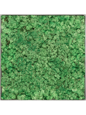 Nova Frame Natural-concrete 100% Reindeer (Grass Green)