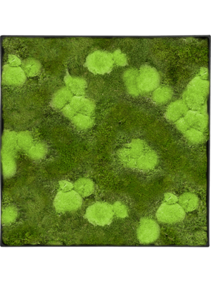 Nova Frame Anthracite-concrete 30% Ball- and 70% flat moss