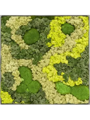 Nova Frame Natural-concrete 30% Ball moss 70% Reindeer moss (Mix)