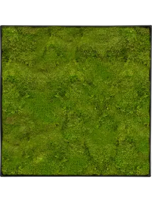 Nova Frame Anthracite-concrete 100% Flat moss