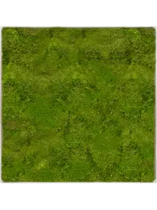 Nova Frame antikvit