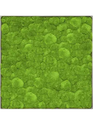 Nova Frame Natural-concrete 100% Ball moss