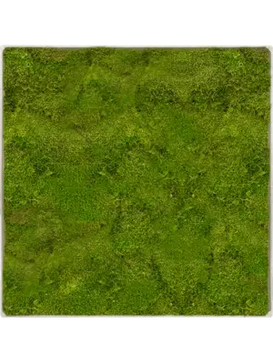 Nova Frame Antique White-concrete 100% Flat moss