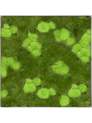 Nova Frame Natural-concrete 30% Ball- and 70% flat moss