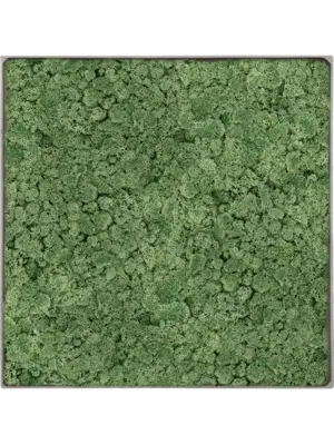 Nova Frame Natural-concrete 100% Reindeer Moss (Moss green)
