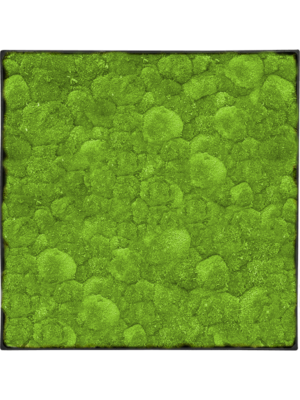 Nova Frame Anthracite-concrete 100% Ball moss