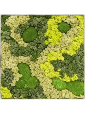 Nova Frame Antique White-concrete 30% Ball moss 70% Reindeer moss (Mix)