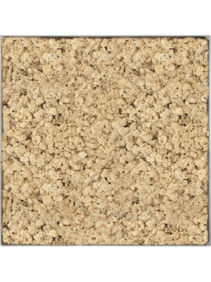 Nova Frame Natural-concrete 100% Reindeer (Natural)