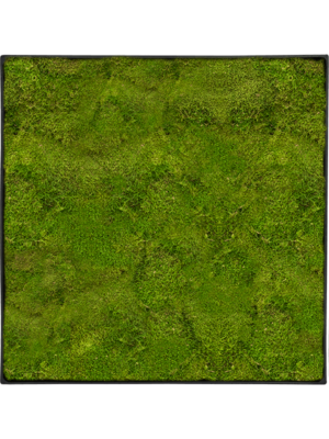 Nova Frame Anthracite-concrete 100% Flat moss