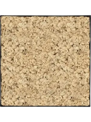 Nova Frame Anthracite-concrete 100% Reindeer (Natural)