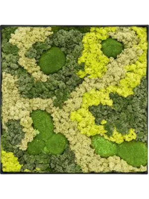 Nova Frame Anthracite-concrete 30% Ball moss 70% Reindeer moss (Mix)