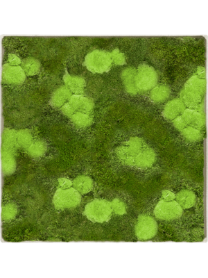 Nova Frame Antique White-concrete 30% Ball- and 70% flat moss