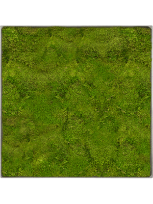 Nova Frame Natural-concrete 100% Flat moss