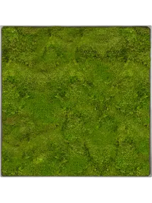 Nova Frame Natural-concrete 100% Flat moss