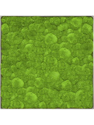 Nova Frame Natural-concrete 100% Ball moss