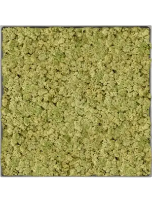 Nova Frame Natural-concrete 100% Reindeer (OldGreen)