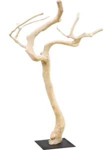 Decoration