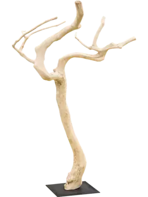 Coffee Trunk