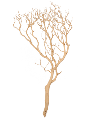 Manzanita sandblasted