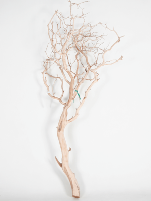 Manzanita sandblasted