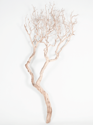 Manzanita sandblasted