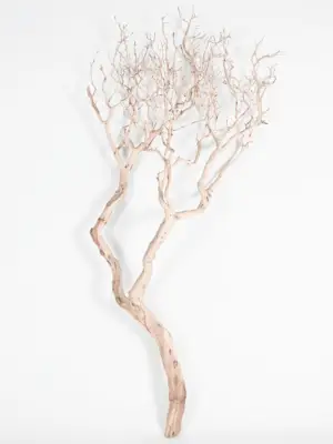 Manzanita sandblasted
