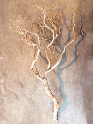 Manzanita sandblasted