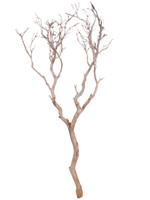 Manzanita sandblasted