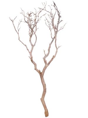 Manzanita sandblasted