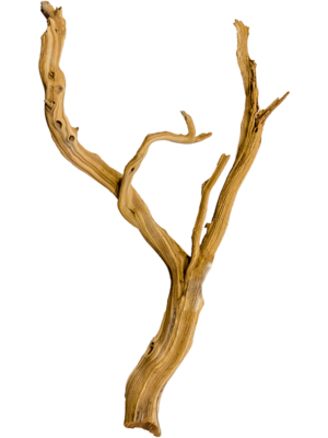 Ghostwood sandblasted