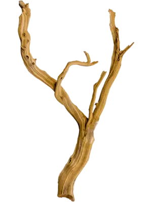 Ghostwood sandblasted