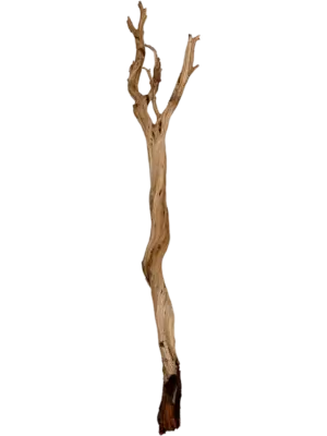 Ghostwood sandblasted