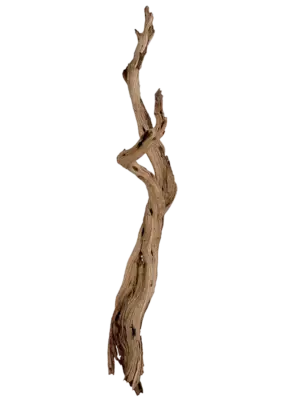 Ghostwood sandblasted