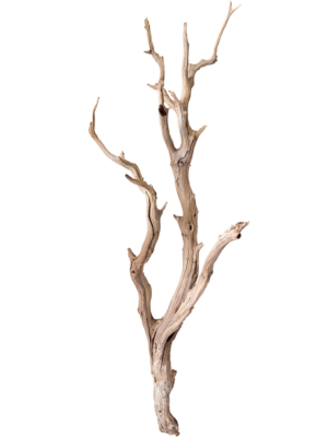 Ghostwood sandblasted