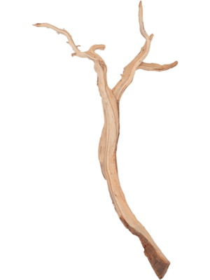 Ghostwood sandblasted