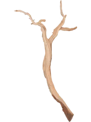 Ghostwood sandblasted