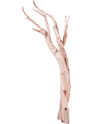 Ghostwood sandblasted