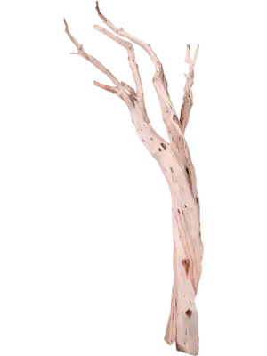Ghostwood sandblasted