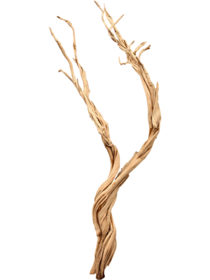Ghostwood sandblasted