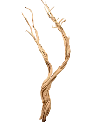 Ghostwood sandblasted