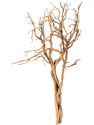 Ghostwood sandblasted