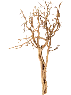 Ghostwood sandblasted