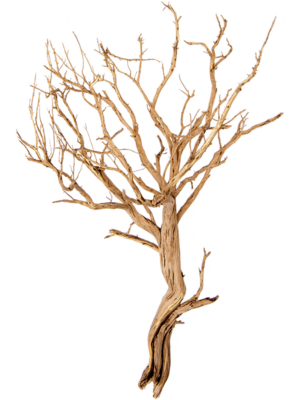 Ghostwood sandblasted