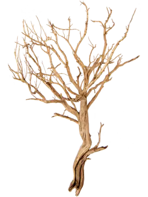 Ghostwood sandblasted