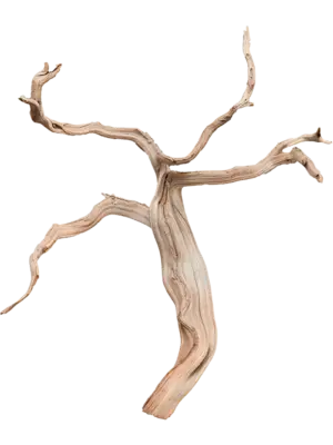 Ghostwood sandblasted branchy