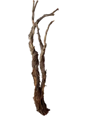 Ghostwood raw
