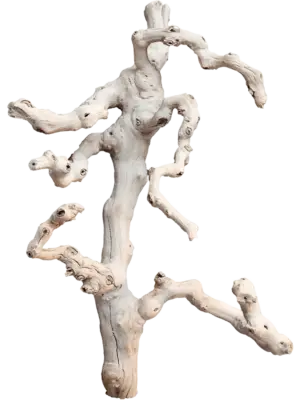 Grapewood sandblasted branchy